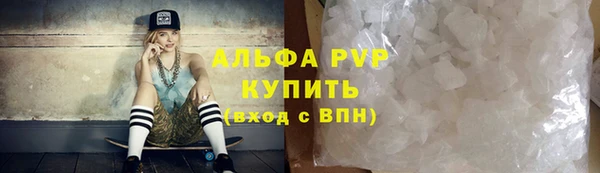 СК Медногорск