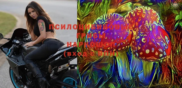 a pvp Медвежьегорск