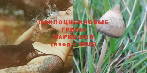 a pvp Медвежьегорск