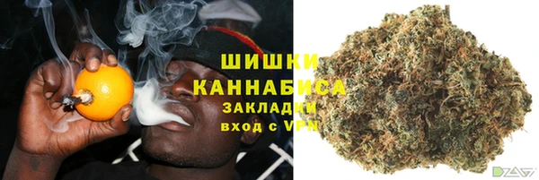 СК Медногорск