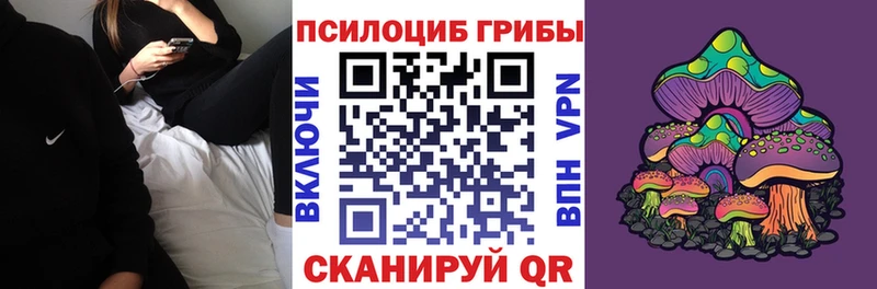 как найти закладки  Торопец  Галлюциногенные грибы ЛСД 